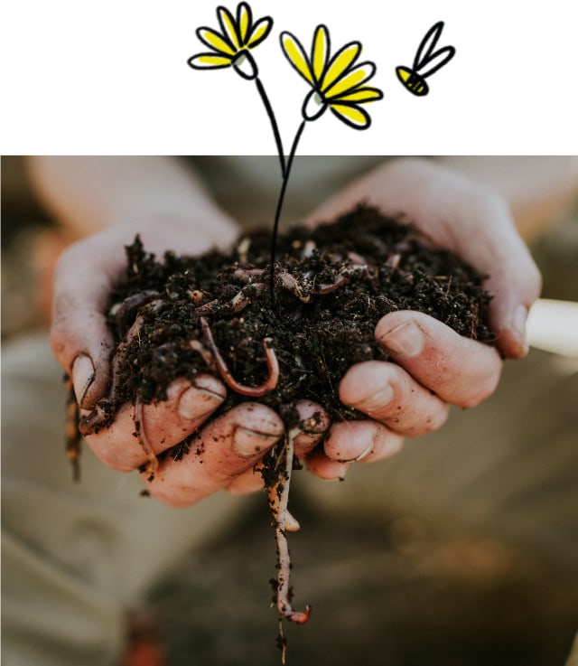 Zwei Hände gefüllt mit Erde und Kompostwürmern. Zwei Würmer hängen aus den Händen, aus der Erde wachsen illustrierte Blumen. Eine Biene fliegt neben der gelben Blume.